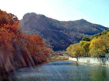 正新澳门二四六天天彩，鸿蒙大道